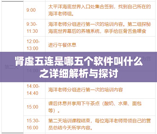 肾虚五连是哪五个软件叫什么之详细解析与探讨