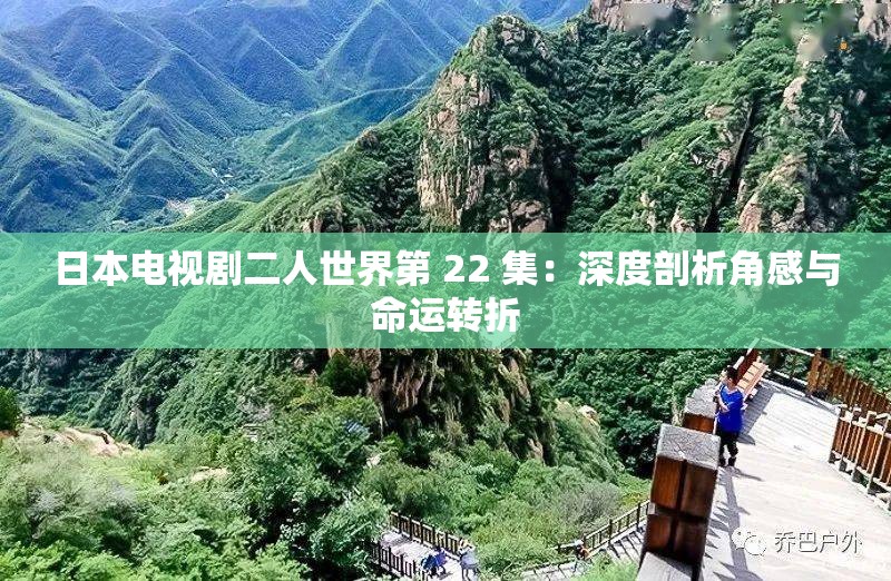 日本电视剧二人世界第 22 集：深度剖析角感与命运转折