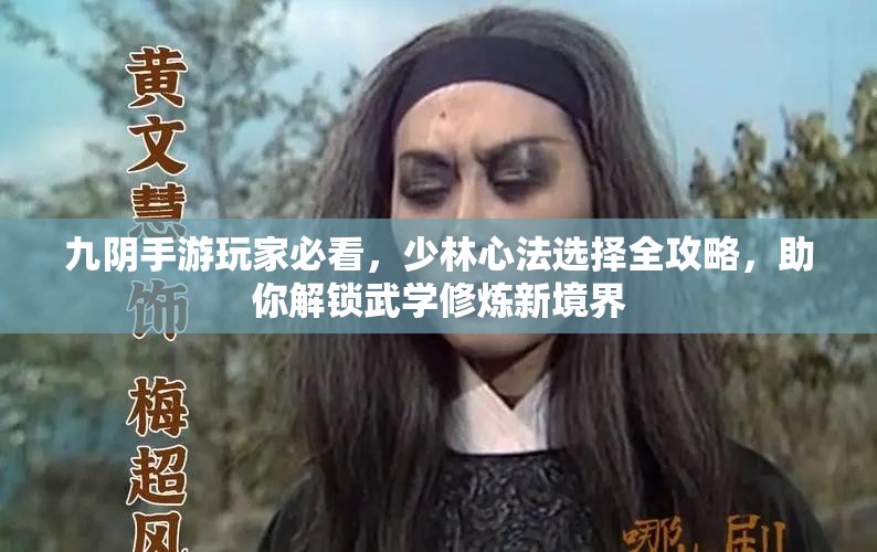 九阴手游玩家必看，少林心法选择全攻略，助你解锁武学修炼新境界
