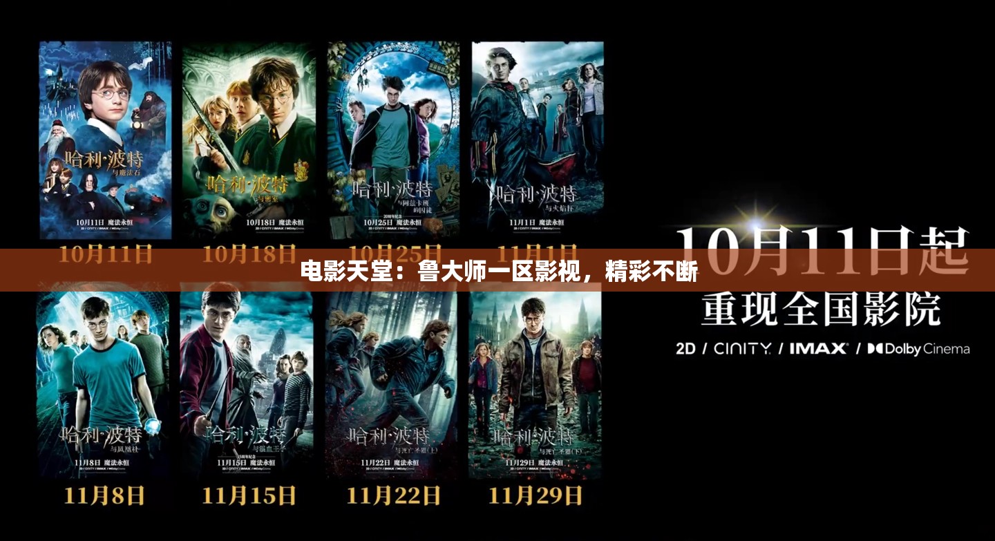 电影天堂：鲁大师一区影视，精彩不断