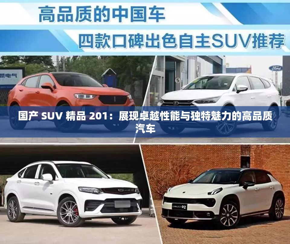 国产 SUV 精品 201：展现卓越性能与独特魅力的高品质汽车