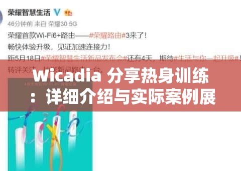 Wicadia 分享热身训练：详细介绍与实际案例展示