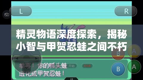 精灵物语深度探索，揭秘小智与甲贺忍蛙之间不朽的传奇羁绊