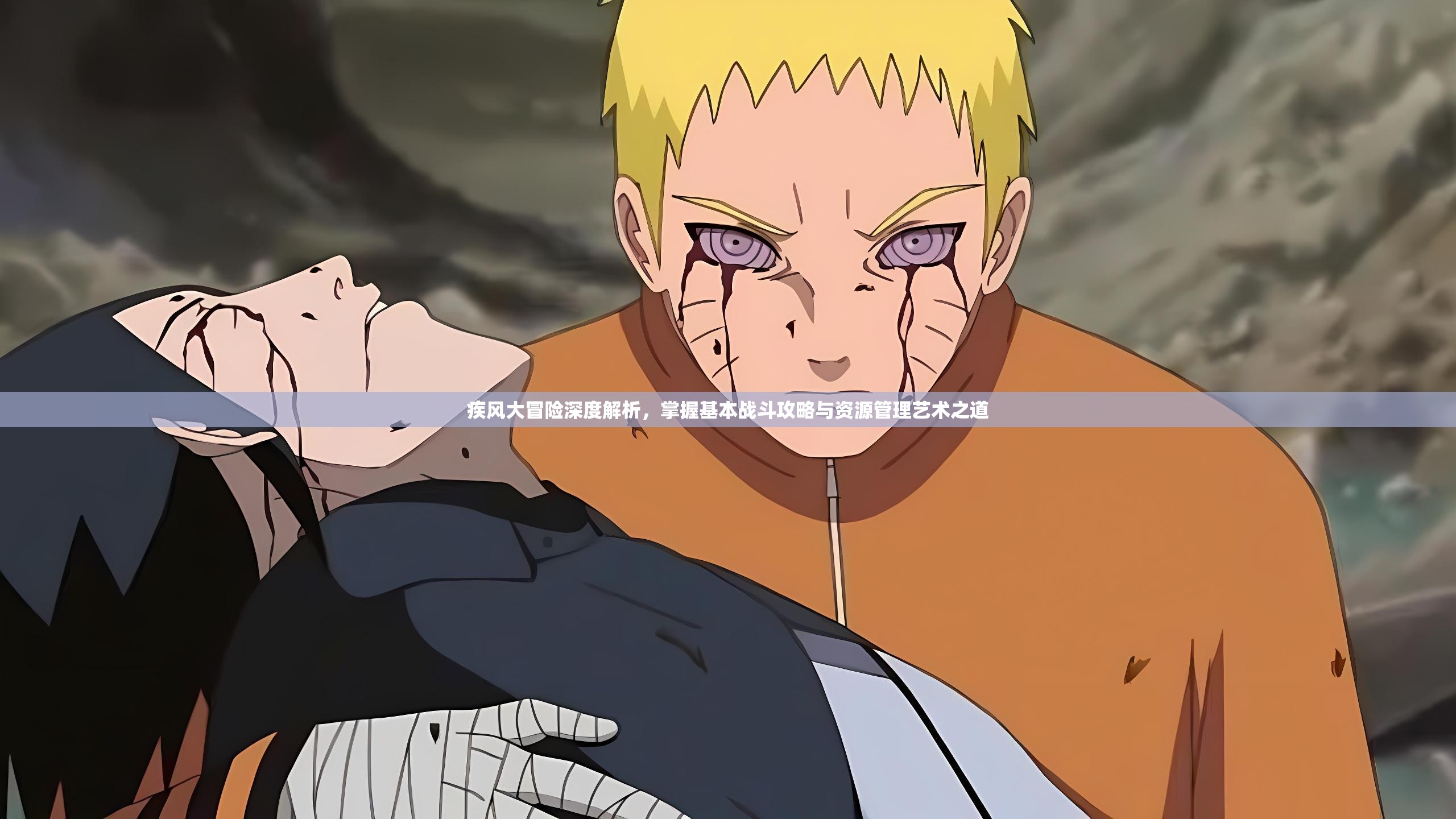 疾风大冒险深度解析，掌握基本战斗攻略与资源管理艺术之道