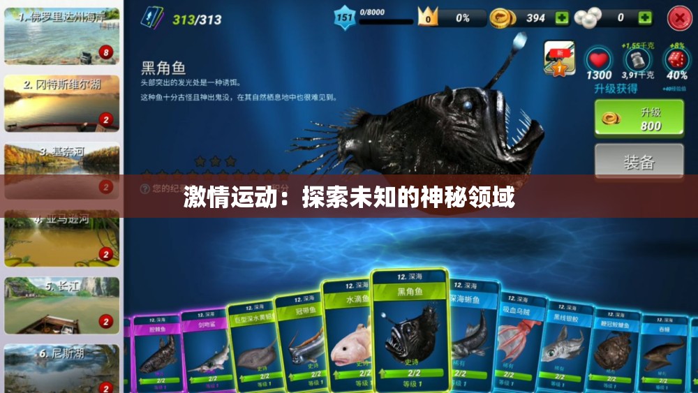 激情运动：探索未知的神秘领域