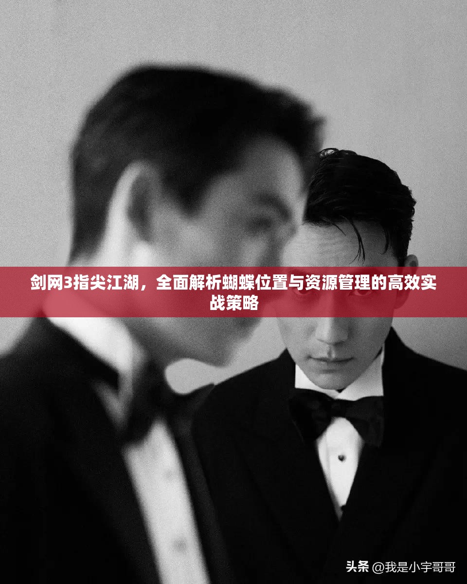 剑网3指尖江湖，全面解析蝴蝶位置与资源管理的高效实战策略