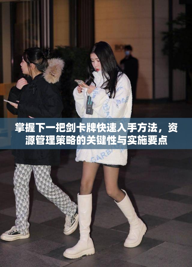 掌握下一把剑卡牌快速入手方法，资源管理策略的关键性与实施要点