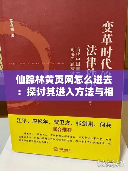 仙踪林黄页网怎么进去：探讨其进入方法与相关问题