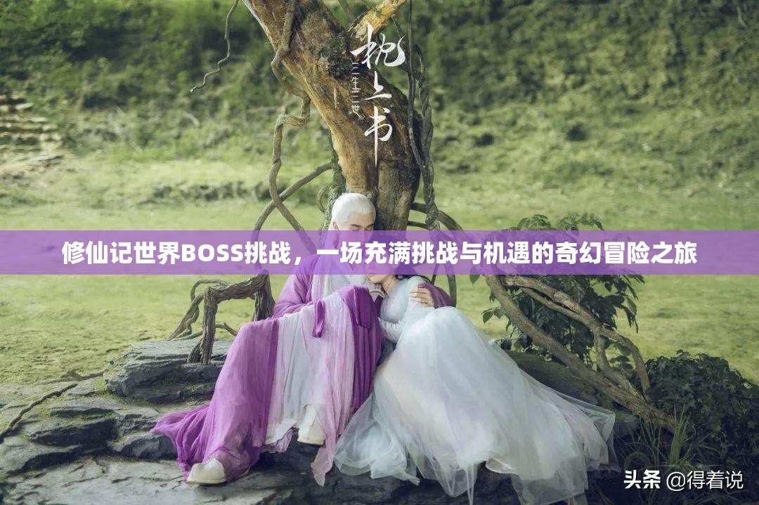 修仙记世界BOSS挑战，一场充满挑战与机遇的奇幻冒险之旅
