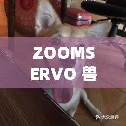 ZOOMSERVO 兽狗牧场需要收费了这一消息引发广泛关注