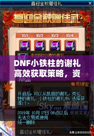 DNF小铁柱的谢礼高效获取策略，资源管理技巧与避免浪费指南
