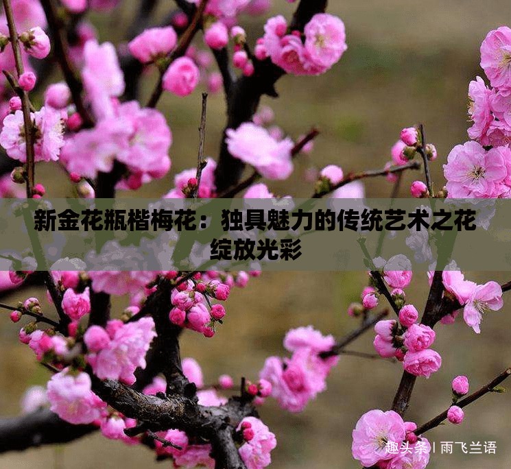 新金花瓶楷梅花：独具魅力的传统艺术之花绽放光彩