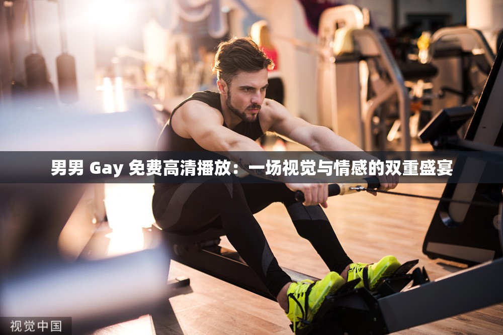 男男 Gay 免费高清播放：一场视觉与情感的双重盛宴
