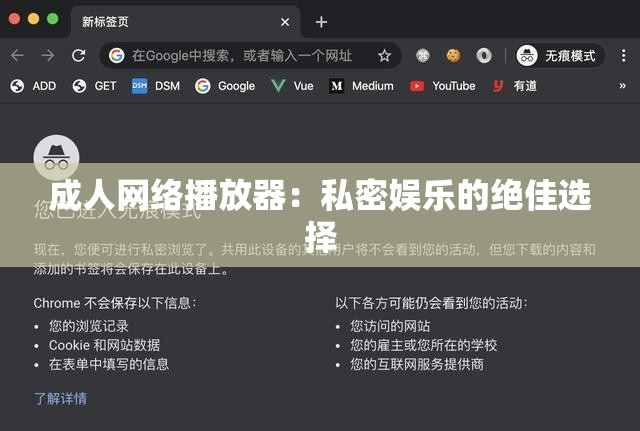 成人网络播放器：私密娱乐的绝佳选择