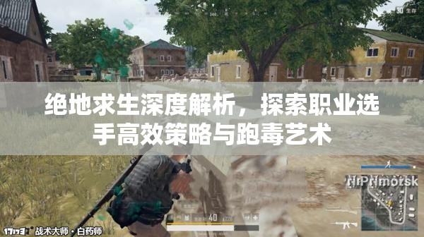 绝地求生深度解析，探索职业选手高效策略与跑毒艺术