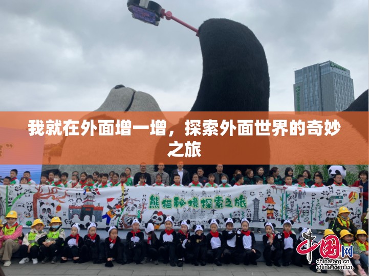 我就在外面增一增，探索外面世界的奇妙之旅