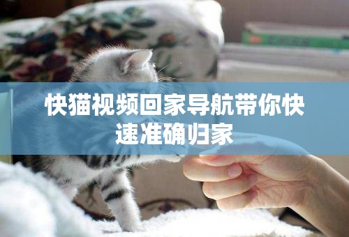 快猫视频回家导航带你快速准确归家