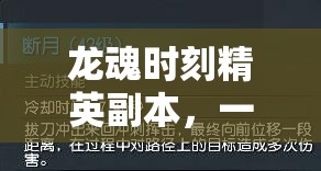 龙魂时刻精英副本，一场融合挑战与荣耀的热血冒险交响曲