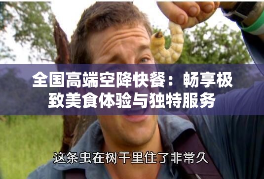 全国高端空降快餐：畅享极致美食体验与独特服务