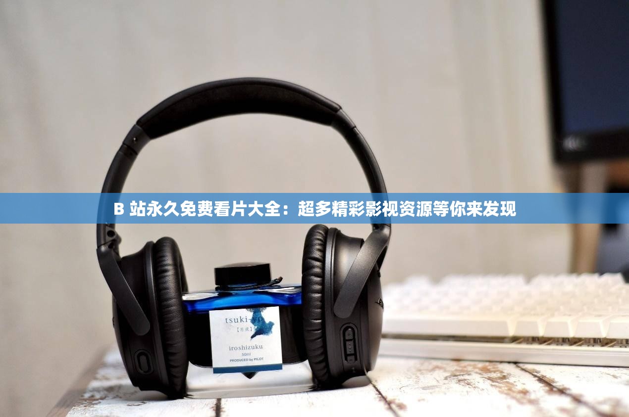 B 站永久免费看片大全：超多精彩影视资源等你来发现