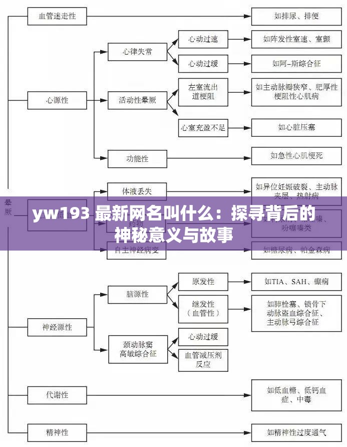 yw193 最新网名叫什么：探寻背后的神秘意义与故事