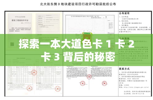 探索一本大道色卡 1 卡 2 卡 3 背后的秘密