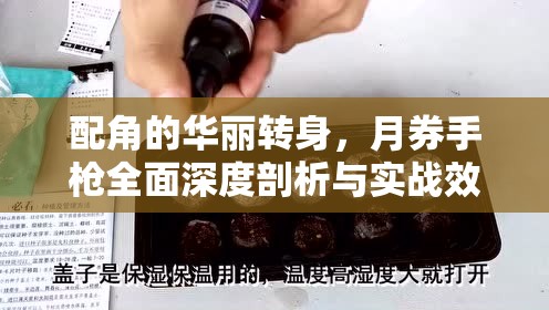 配角的华丽转身，月券手枪全面深度剖析与实战效能评测