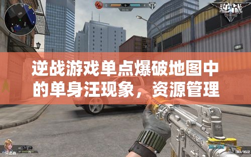 逆战游戏单点爆破地图中的单身汪现象，资源管理策略与重要性盘点