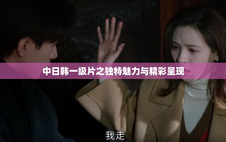 中日韩一级片之独特魅力与精彩呈现