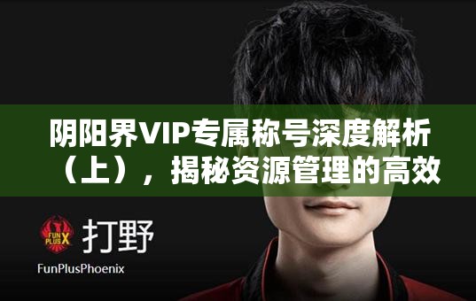 阴阳界VIP专属称号深度解析（上），揭秘资源管理的高效艺术与策略