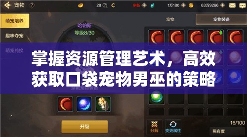掌握资源管理艺术，高效获取口袋宠物男巫的策略指南