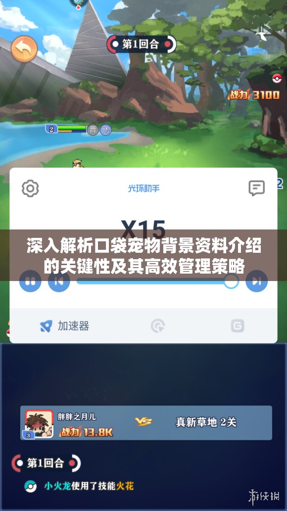 深入解析口袋宠物背景资料介绍的关键性及其高效管理策略