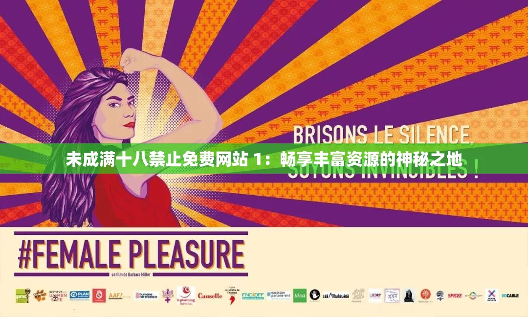 未成满十八禁止免费网站 1：畅享丰富资源的神秘之地