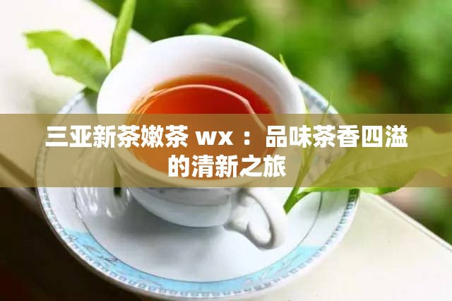 三亚新茶嫩茶 wx ：品味茶香四溢的清新之旅