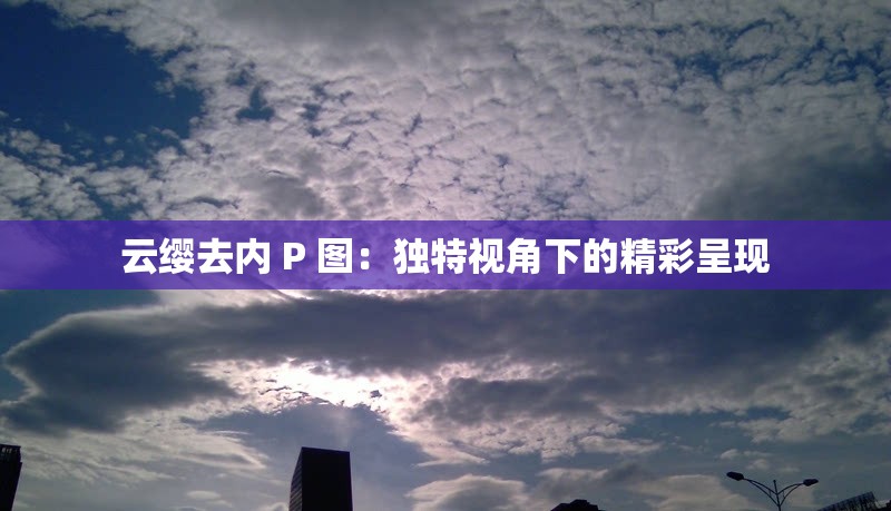 云缨去内 P 图：独特视角下的精彩呈现