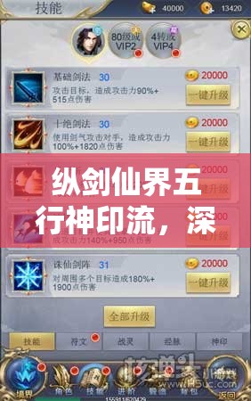 纵剑仙界五行神印流，深度解析资源管理的精妙艺术与实战策略