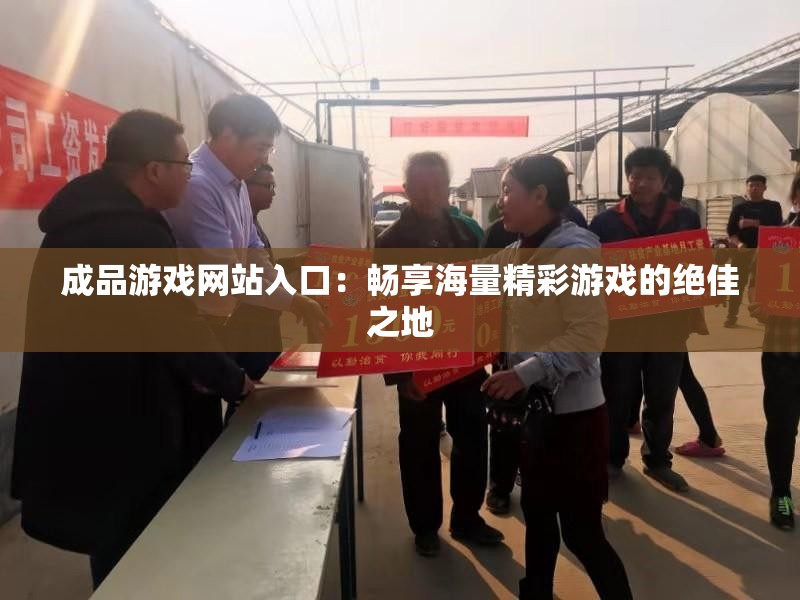 成品游戏网站入口：畅享海量精彩游戏的绝佳之地