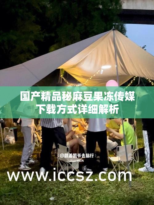 国产精品秘麻豆果冻传媒下载方式详细解析