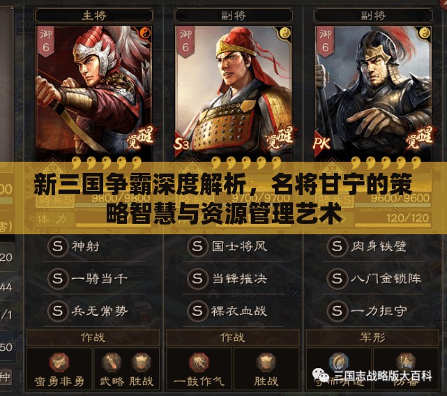 新三国争霸深度解析，名将甘宁的策略智慧与资源管理艺术
