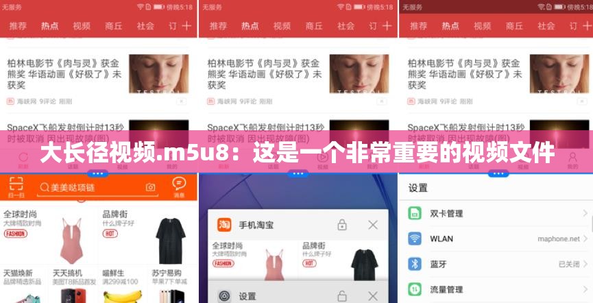 大长径视频.m5u8：这是一个非常重要的视频文件