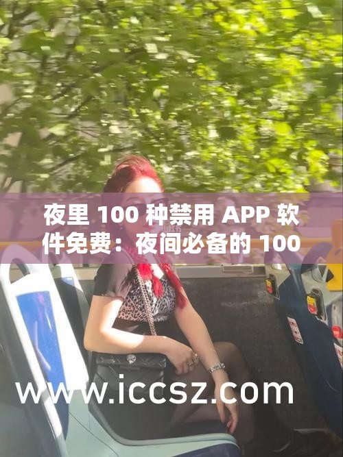 夜里 100 种禁用 APP 软件免费：夜间必备的 100 款神器