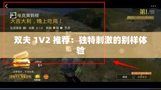 双夫 1V2 推荐：独特刺激的别样体验