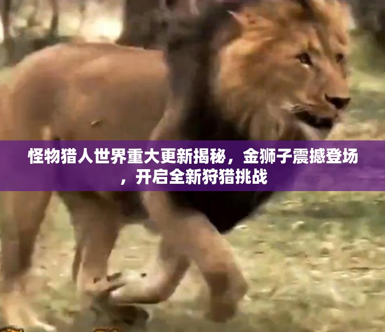 怪物猎人世界重大更新揭秘，金狮子震撼登场，开启全新狩猎挑战