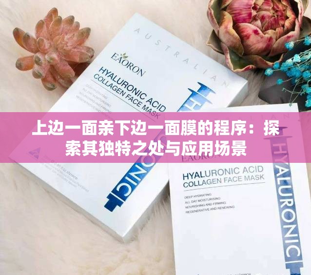 上边一面亲下边一面膜的程序：探索其独特之处与应用场景