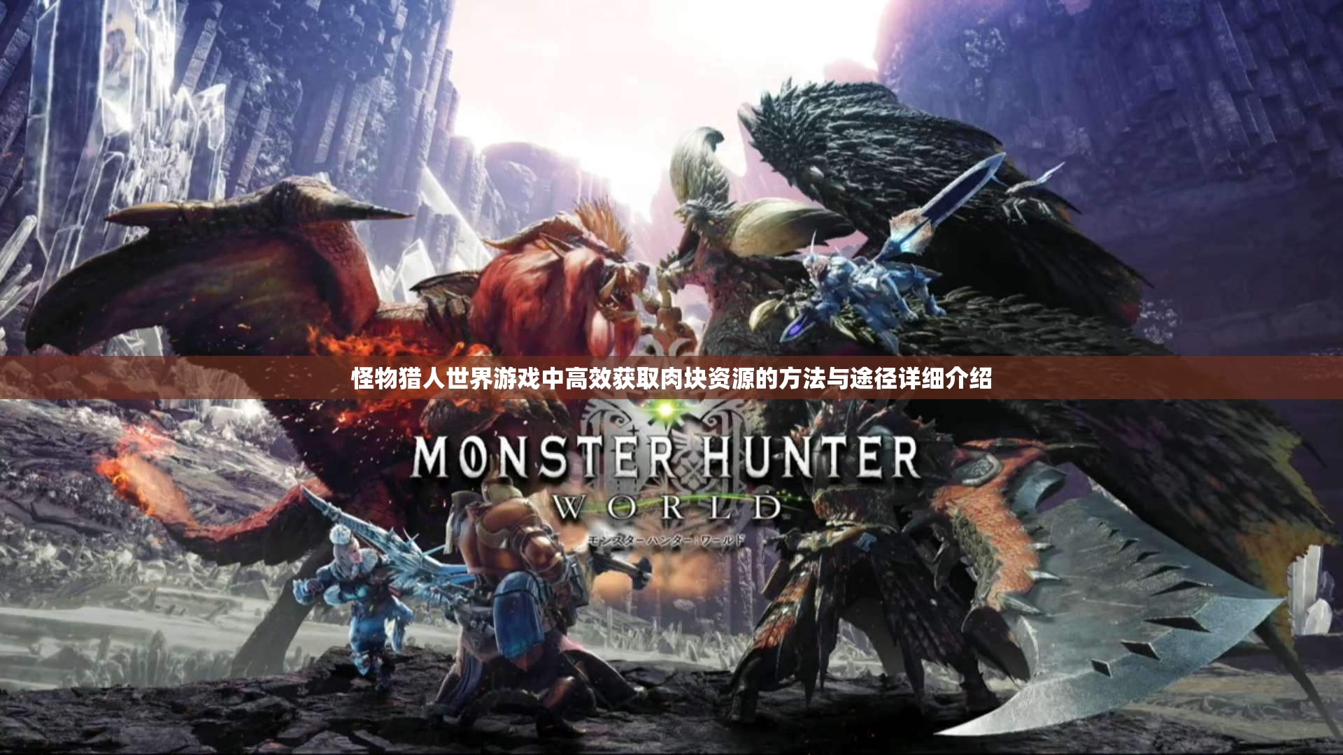 怪物猎人世界游戏中高效获取肉块资源的方法与途径详细介绍