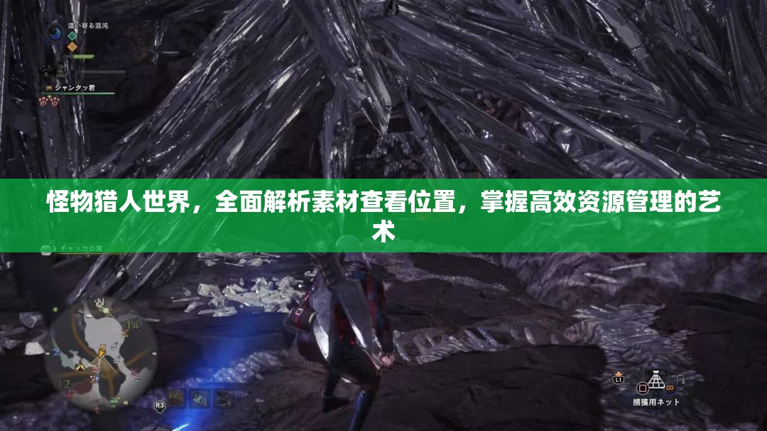 怪物猎人世界，全面解析素材查看位置，掌握高效资源管理的艺术
