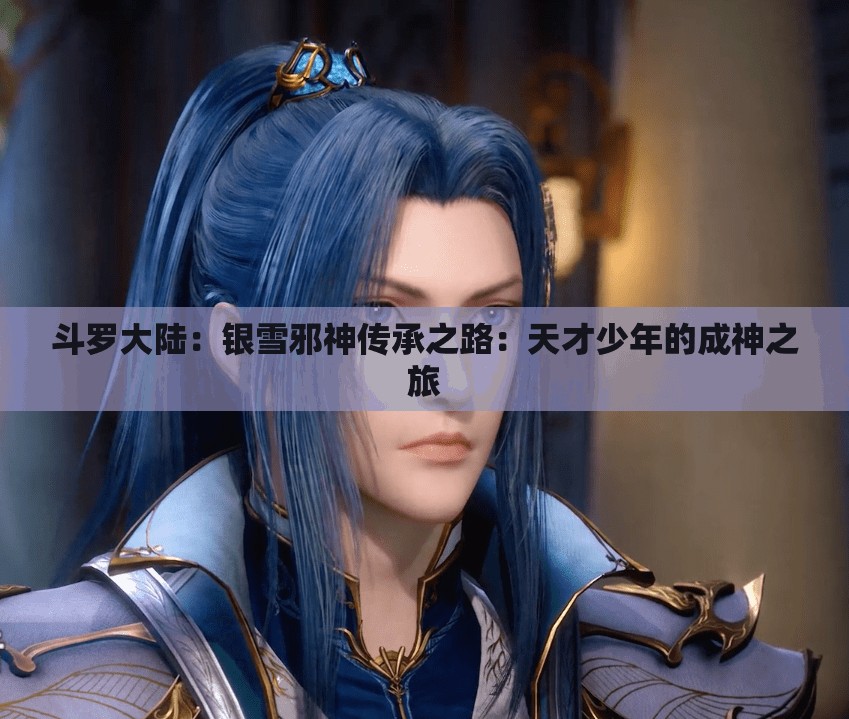 斗罗大陆：银雪邪神传承之路：天才少年的成神之旅