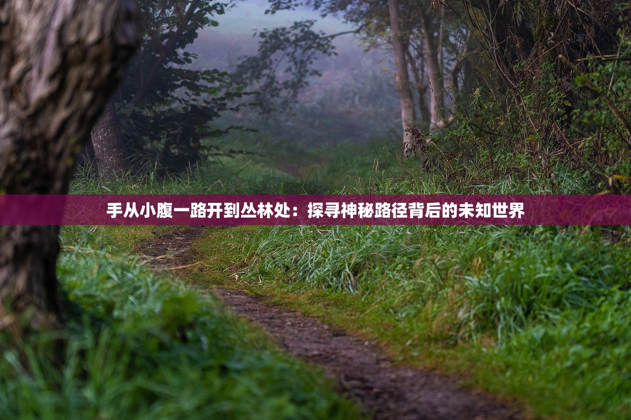 手从小腹一路开到丛林处：探寻神秘路径背后的未知世界