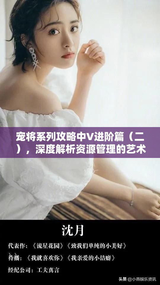 宠将系列攻略中V进阶篇（二），深度解析资源管理的艺术与策略