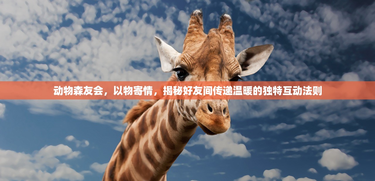 动物森友会，以物寄情，揭秘好友间传递温暖的独特互动法则